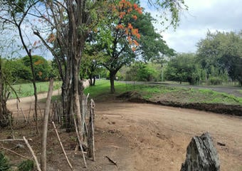 Terrenos en Rivas Nicaragua | Finca en Venta con Potencial de Plusvalía