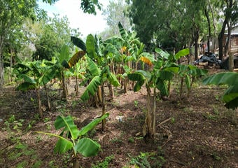 Terrenos en Rivas Nicaragua | Finca en Venta con Potencial de Plusvalía