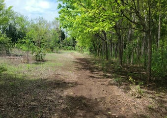 Terrenos en Rivas Nicaragua | Finca en Venta con Potencial de Plusvalía