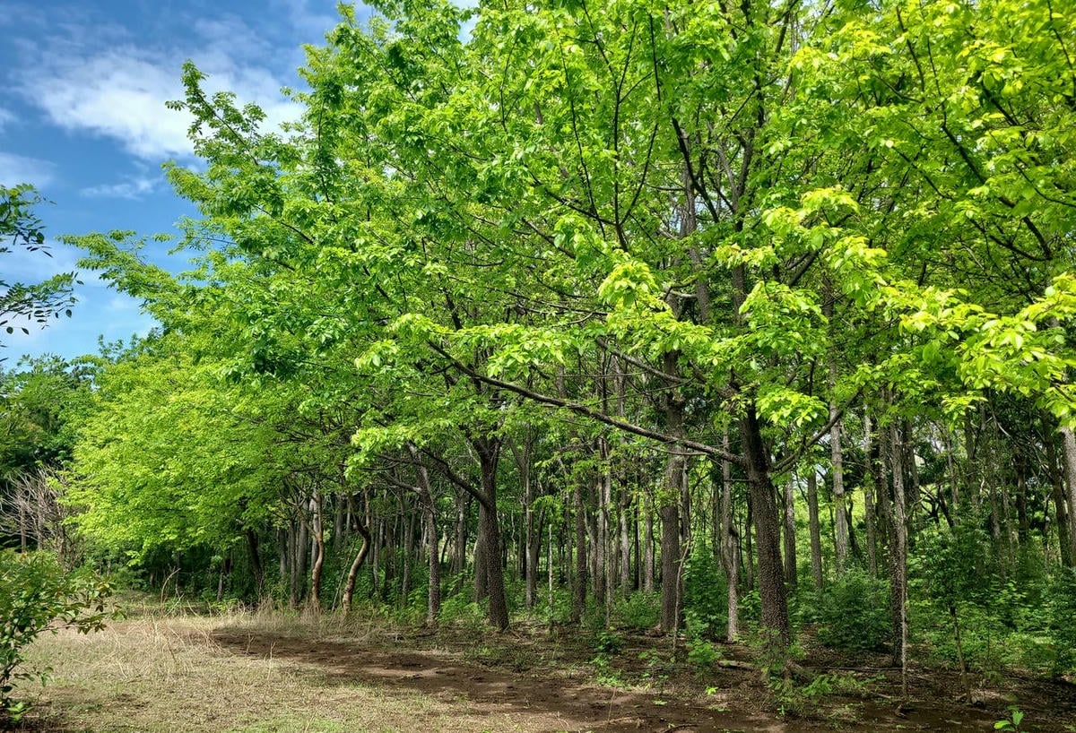 Finca ubicada sobre la Carretera Panamericana Sur