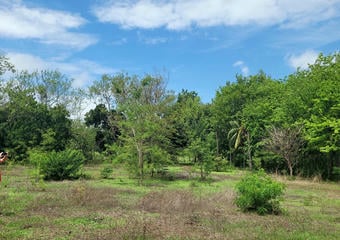 Terrenos en Rivas Nicaragua | Finca en Venta con Potencial de Plusvalía