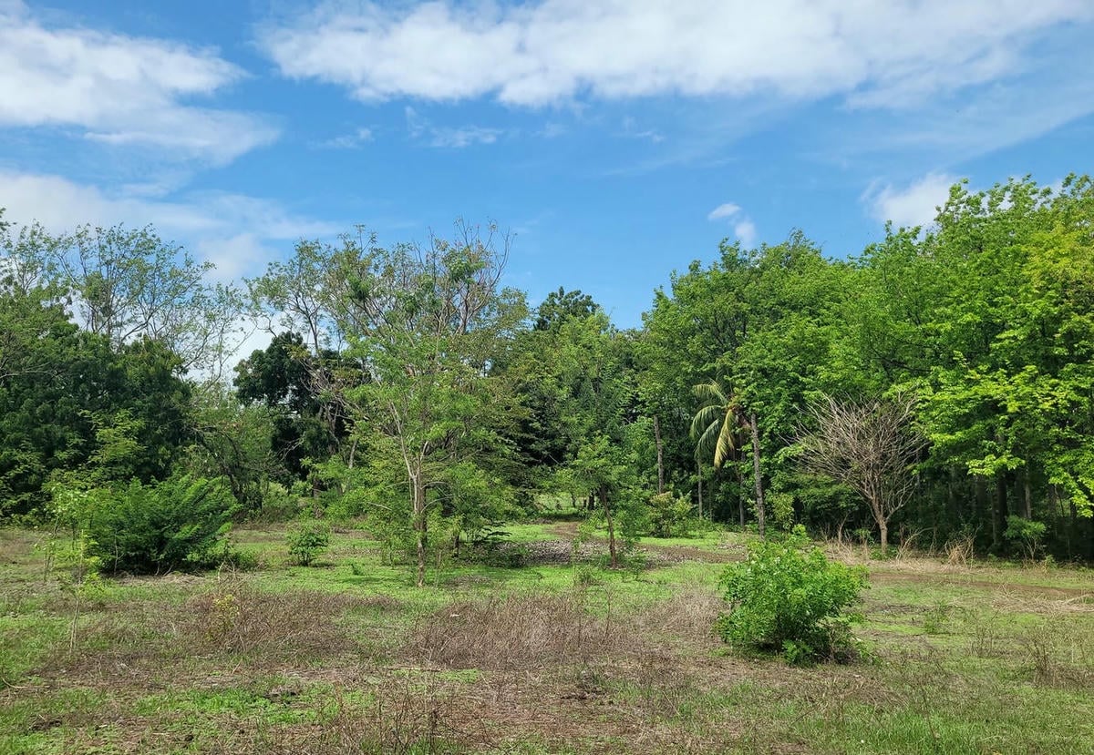 Finca ubicada sobre la Carretera Panamericana Sur