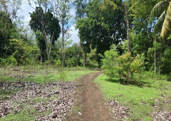Terrenos en Rivas Nicaragua | Finca en Venta con Potencial de Plusvalía