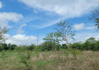 Terrenos en Rivas Nicaragua | Finca en Venta con Potencial de Plusvalía