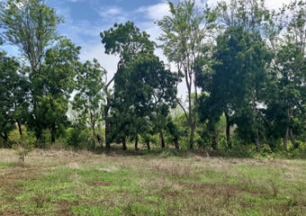 Terrenos en Rivas Nicaragua | Finca en Venta con Potencial de Plusvalía