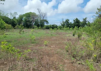 Terrenos en Rivas Nicaragua | Finca en Venta con Potencial de Plusvalía